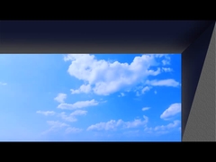 Écran LED 3D publicitaire avec les yeux nus