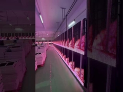 Écran à grille transparente à LED Location d'événements Vitrine vitrée à rideau de verre Fenêtre P3.91 à P7.82