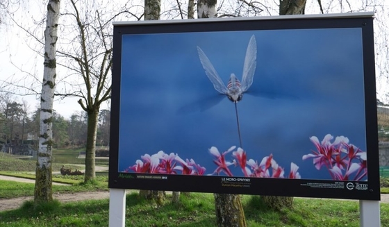 L'écran visuel mené extérieur de la publicité des murs IP65 de P4mm montrent 62500 points m2 ccc