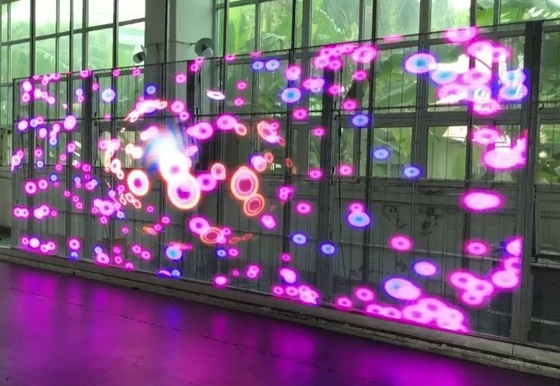 L'écran visuel transparent RVB de mur d'AC85V LED a mené l'écran de visualisation de fenêtre